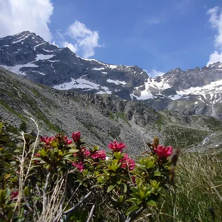 Haus Kammerland Lägenhet Zell am Ziller